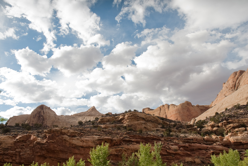 NIKON_D200_2009_06_03_0215