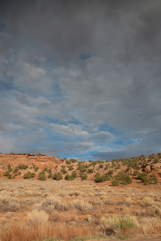 NIKON_D200_2009_06_03_0276
