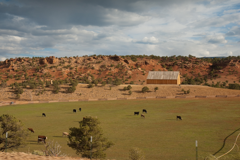 NIKON_D200_2009_06_03_0279